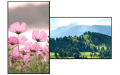 Copy electronic vam predstavlja Interaktivni ekran Clevertouch 55" CM Pr. Na fotografii su dva ekrana. Jedan je postavljen vodoravno a drugi horizontalno. Na modelu koji je postavljen vodoravno pozadina na ekranu  je slika planine, a na drugom modelu pozadina ekrana je slika cvijeća.