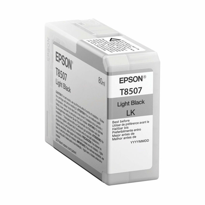 Epson Singlepack Light Black T850700, 80 ml, Original [C13T850700]