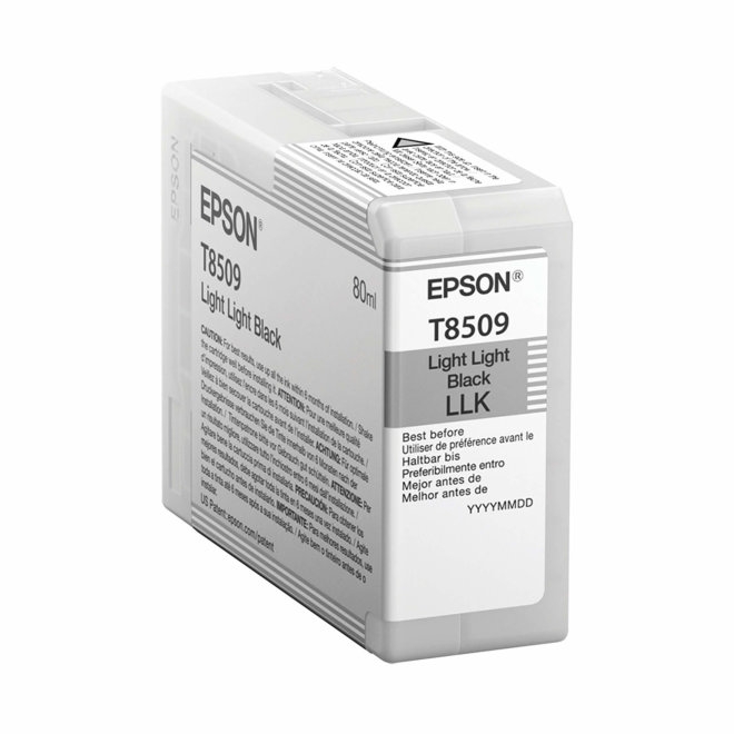 Epson tinta Singlepack Light Light Black T850900, 80 ml, Original [C13T850900]